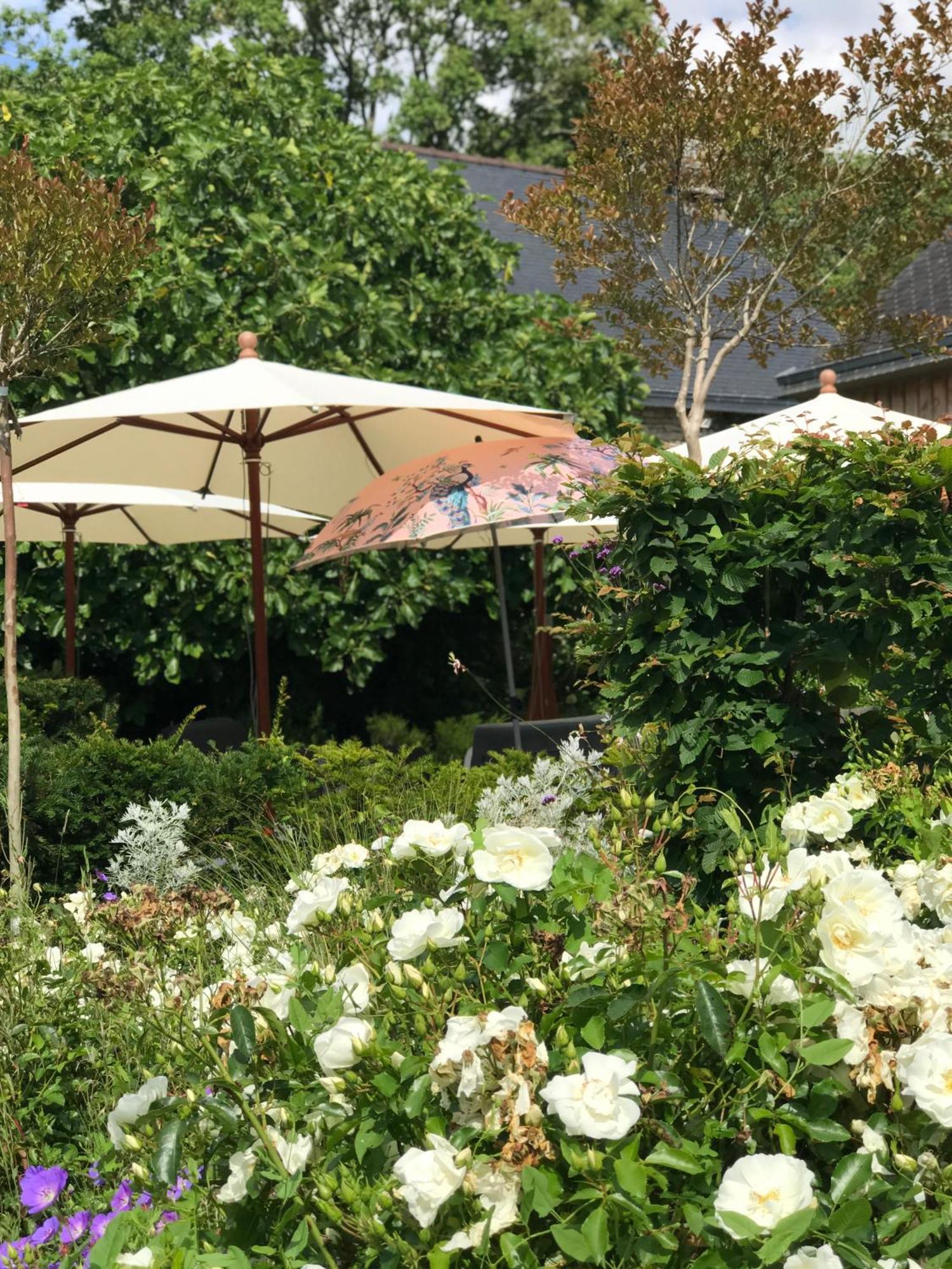 Theix Manoir Saint-Andre,B&B De Charme מראה חיצוני תמונה