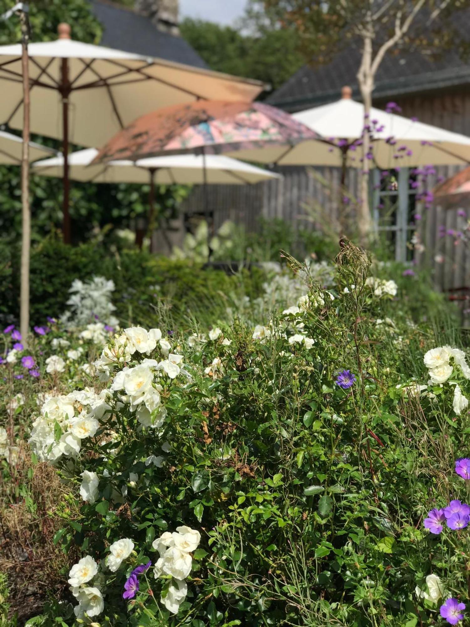 Theix Manoir Saint-Andre,B&B De Charme מראה חיצוני תמונה